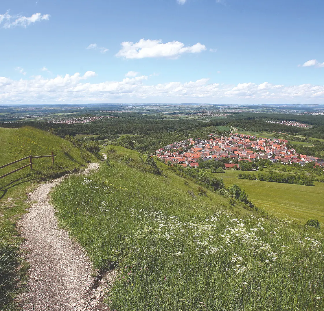 Panoramic view of Kohlberg with meadows, forests, and a village in a hilly landscape